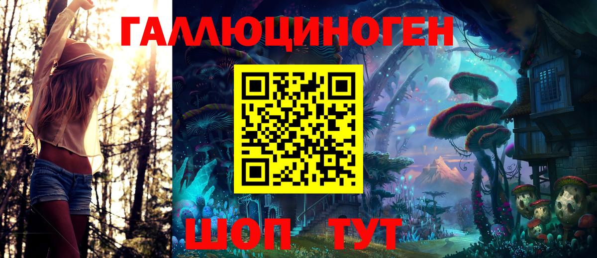 Благовещенск  Галлюциногенные грибы Psilocybe  Вход с VPN 