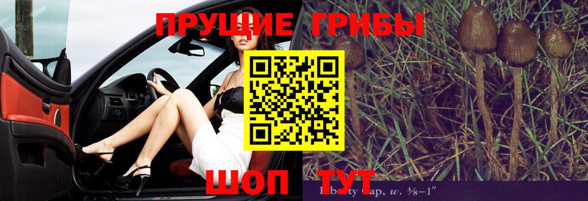 Псилоцибиновые грибы Cubensis Благовещенск